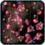 flowers live wallpaper android application logo